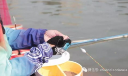 钓鱼调漂视频,视频教程深度解读